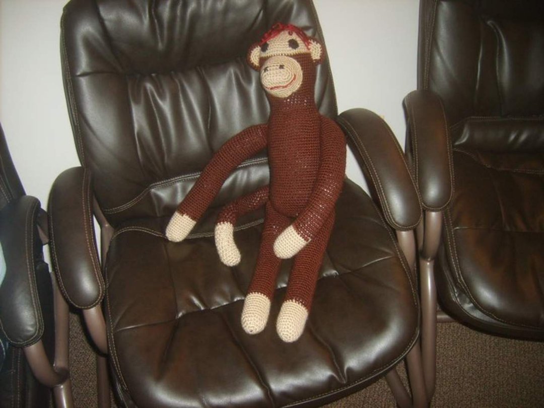 Debbie Snyder's album, Monkey - November 16, 2010