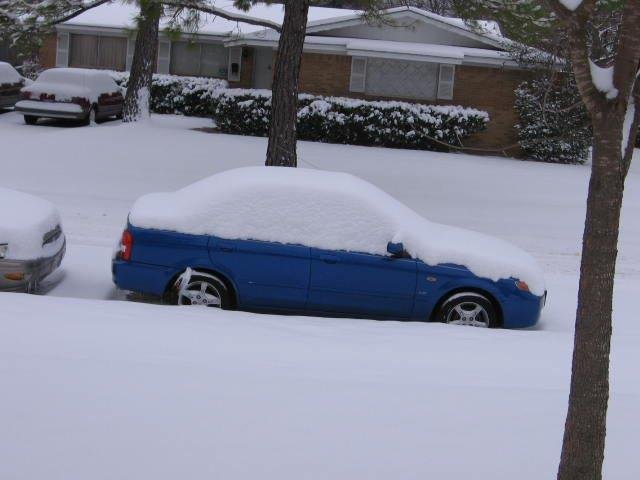 Nancy Yancy's album, February 4, 2011