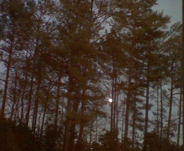 Kathy Giannaros-Brawley's album, Mobile Uploads