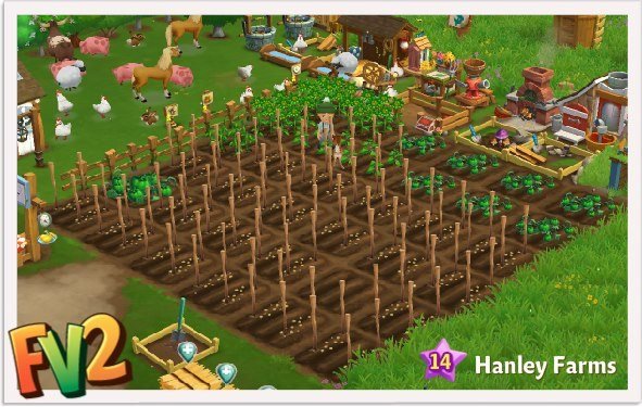 peter hanley's album, FarmVille 2 Photos