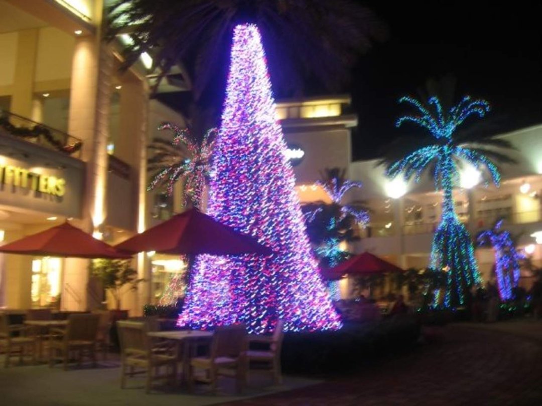 Bret Roberts' album, X-Mas time in Palm Beach Gardens 09'