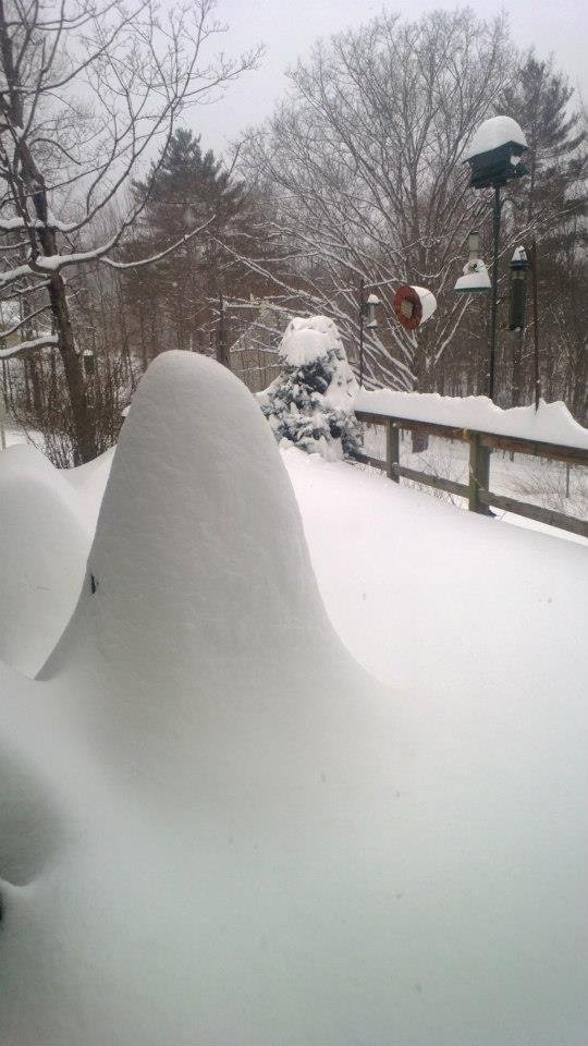 Robin Boynton's album, February 2013 Nor'easter