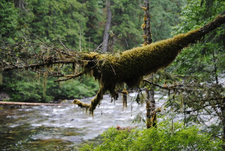 Rick Rozon's album, Parksville 2011