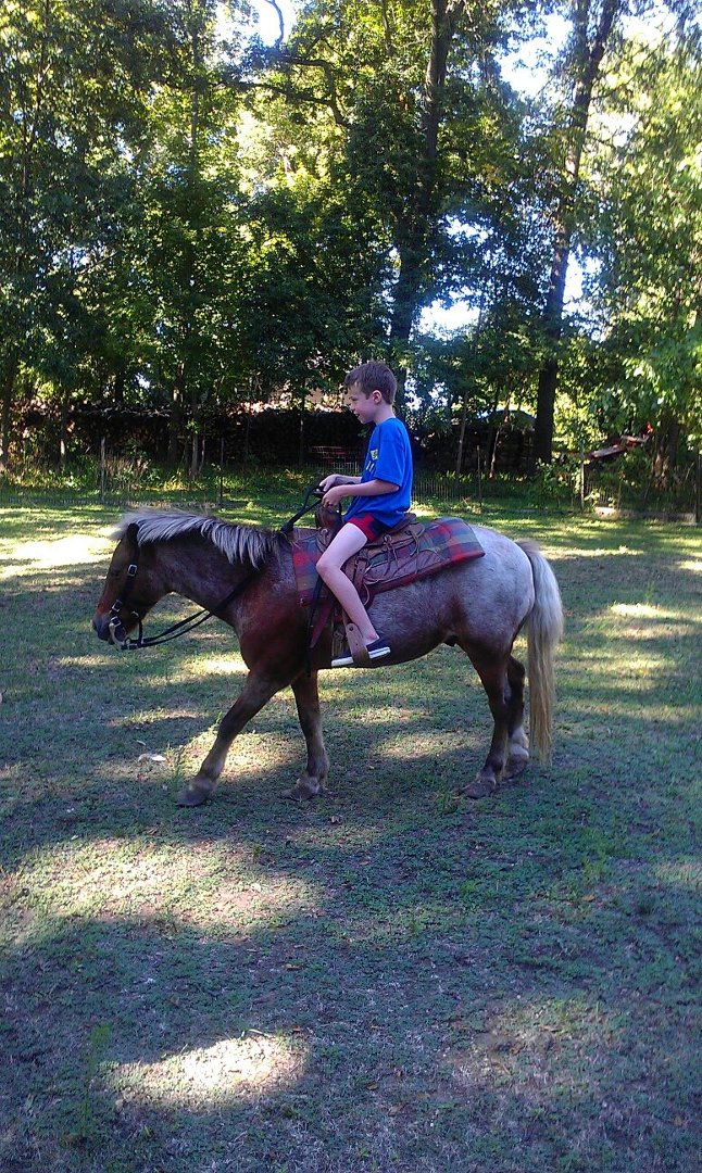 Debra Otto's album, Mobile Uploads