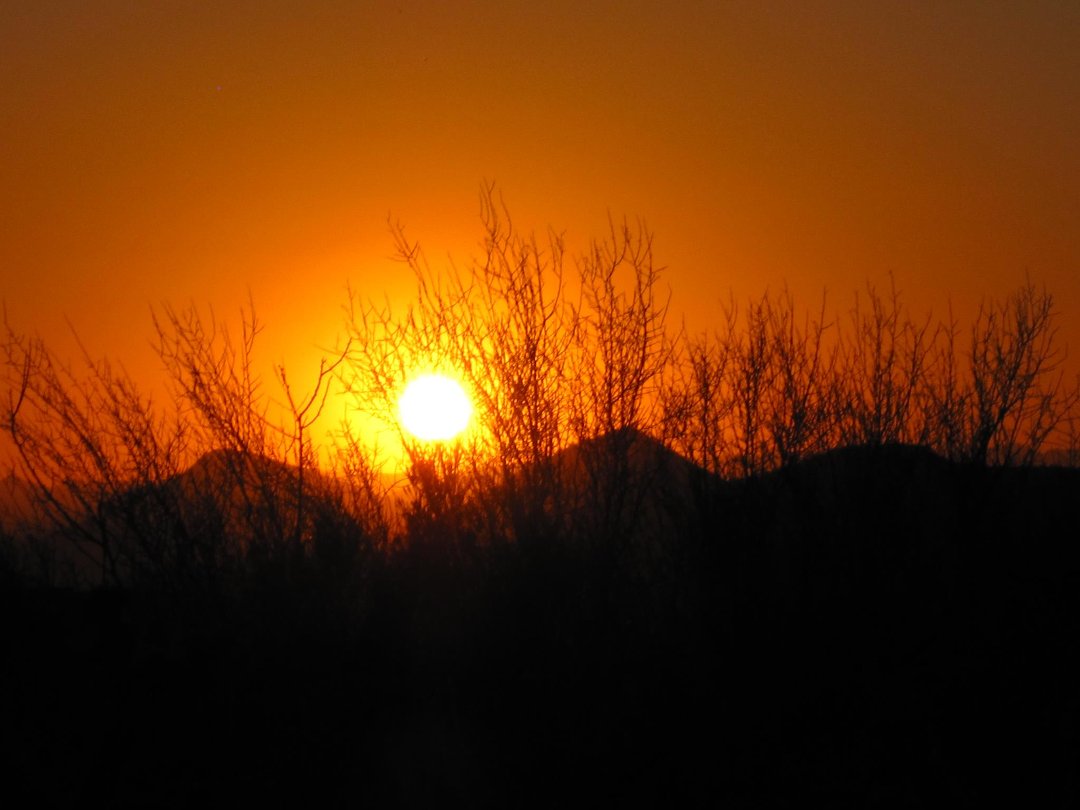 Debra Sonderman's album, Cover Photos