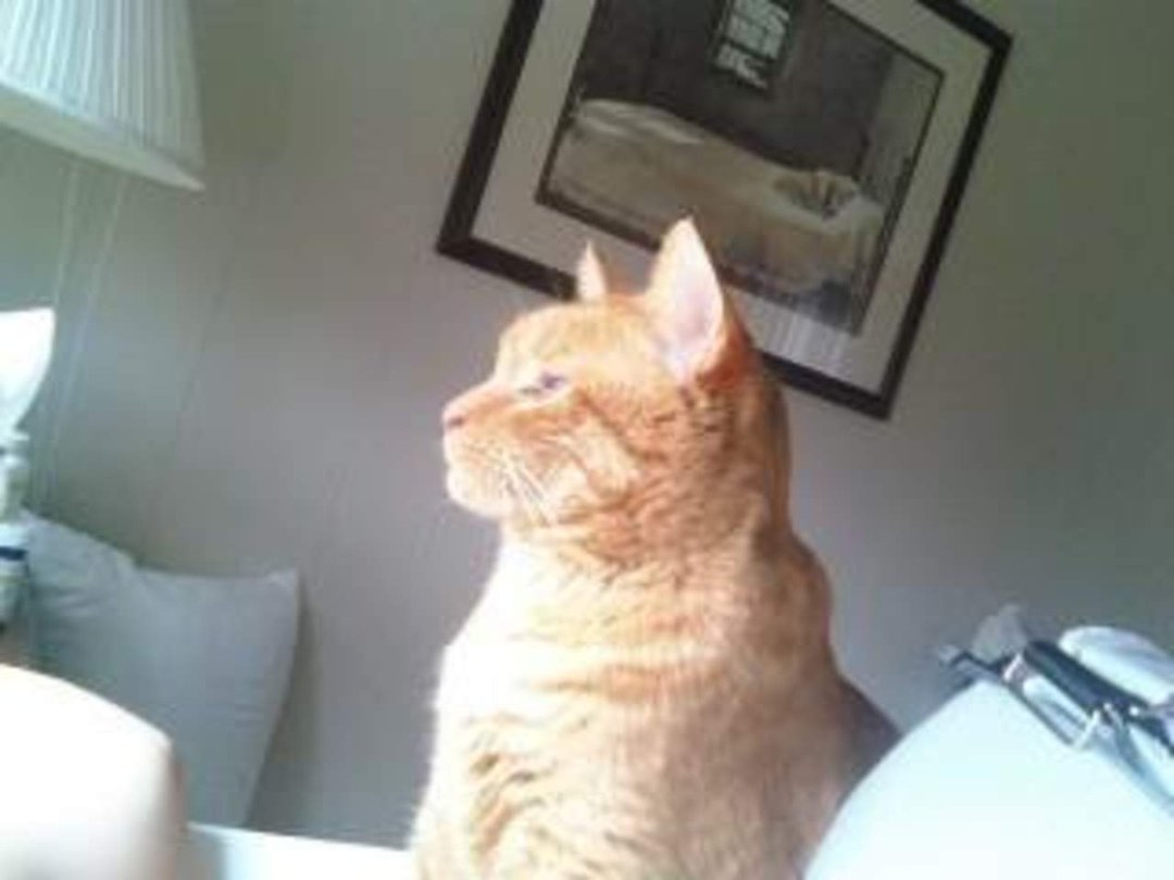 Debra Kentta's album, Mobile Uploads