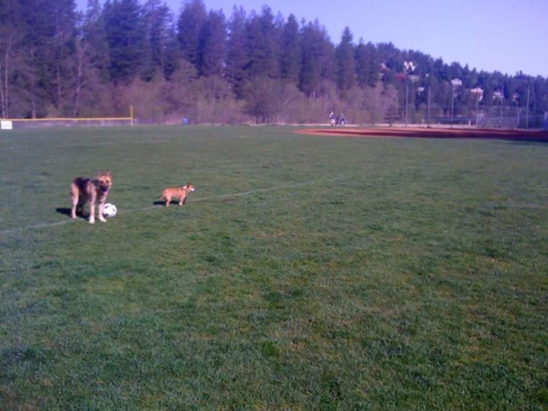 David Diotalevi's album, Mobile Uploads