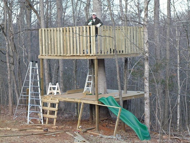John Warner's album, Treehouse