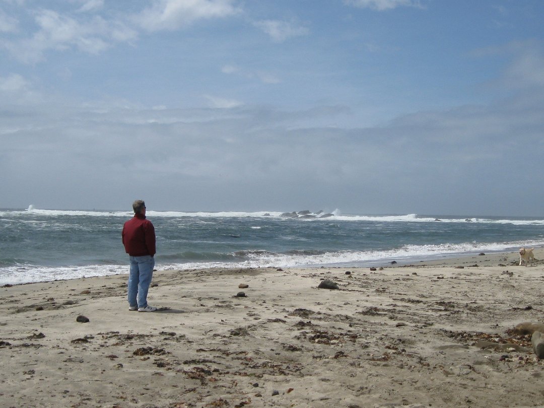 John Scheunemann's album, Profile Pictures