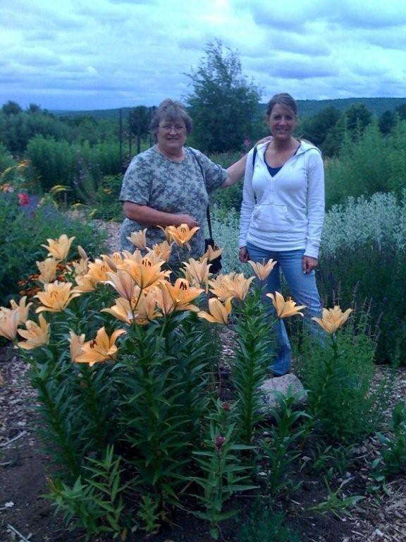 Sharon Cameron's album, Profile Pictures