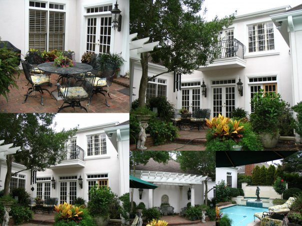 David Brandon's album, Brandon's photos