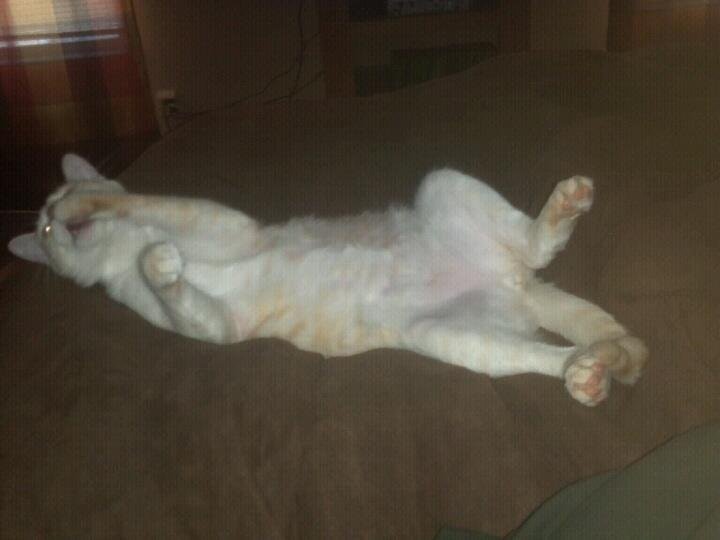Doug Moore's album, Mobile Uploads