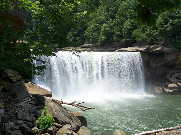 William Hambrick's album, Summer 2010