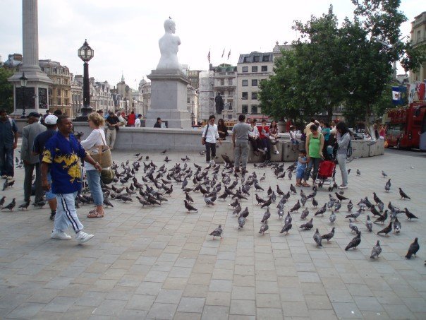 Morgan Renner's album, London part 4