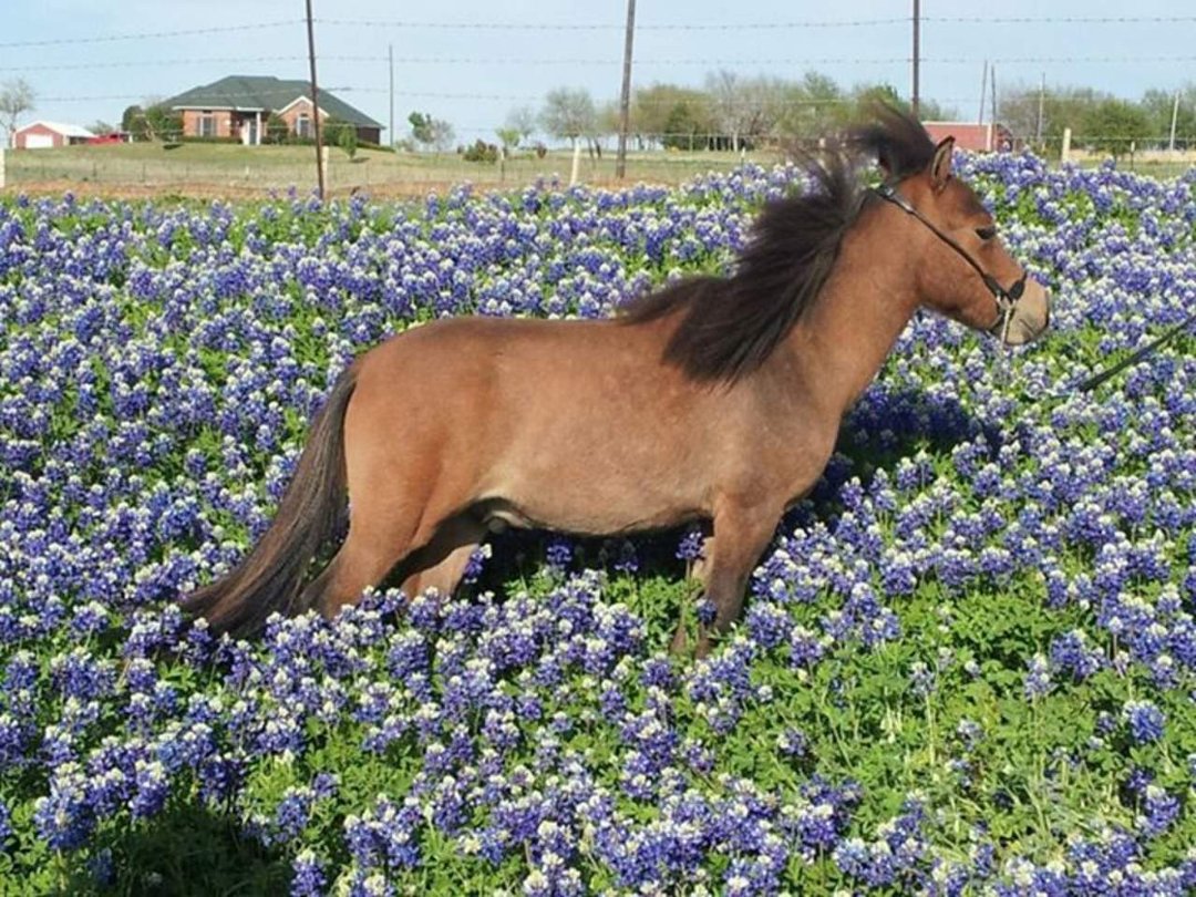 Deb Stover's album, Cover Photos