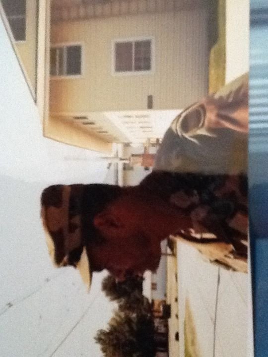 raymond ford's album, Profile Pictures