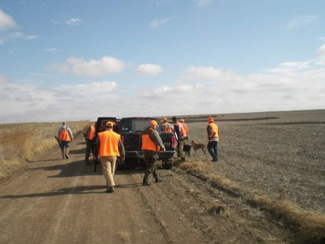 Michael Harford's album, Centrailia Kansas Hunt