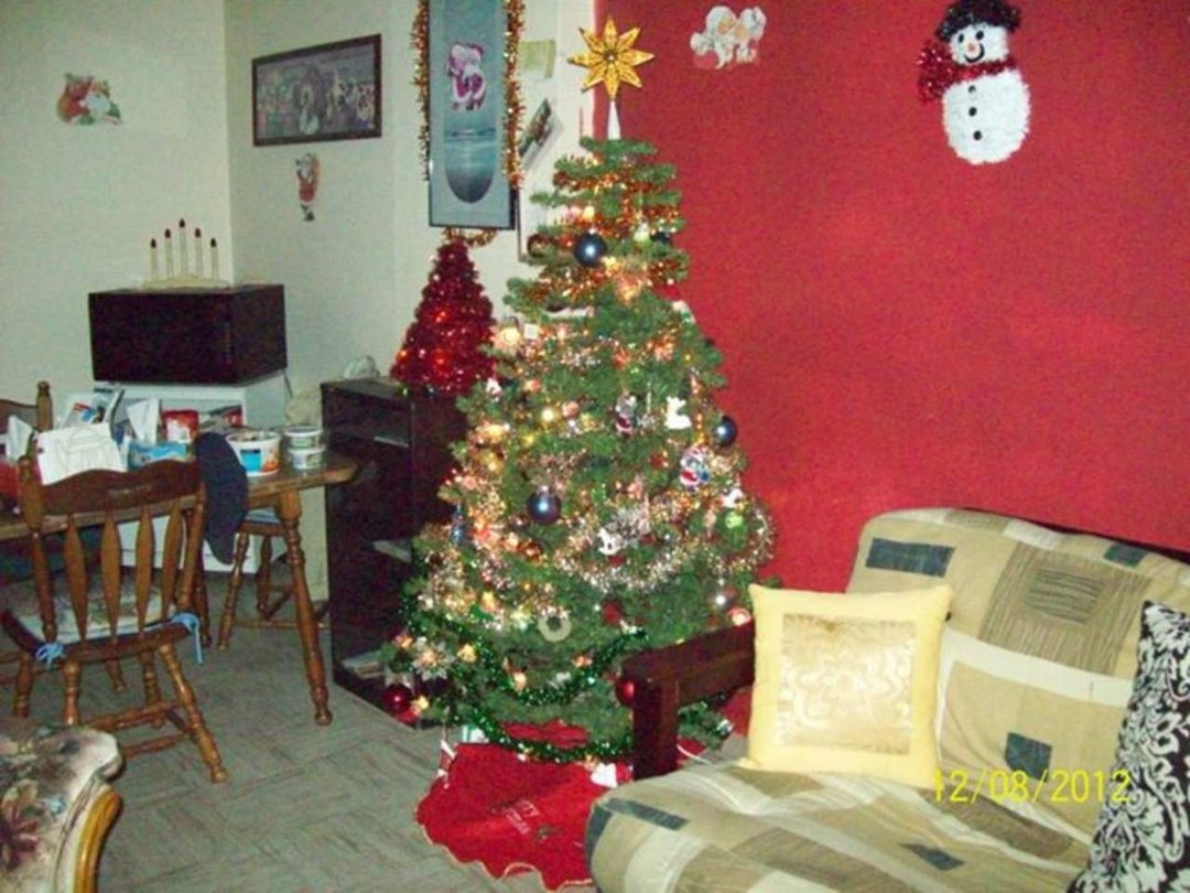 Patrick O'Quinn's album, My Newly Painted LivingRoom Did My Self