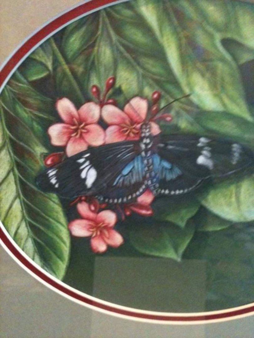 Lee Ann Alexander's album, Mobile Uploads