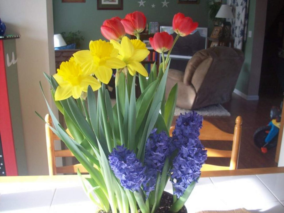 Ruth Ferguson's album, Cover Photos