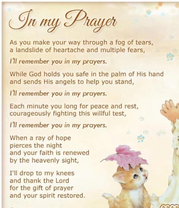 Robin Baker's album, Timeline Photos