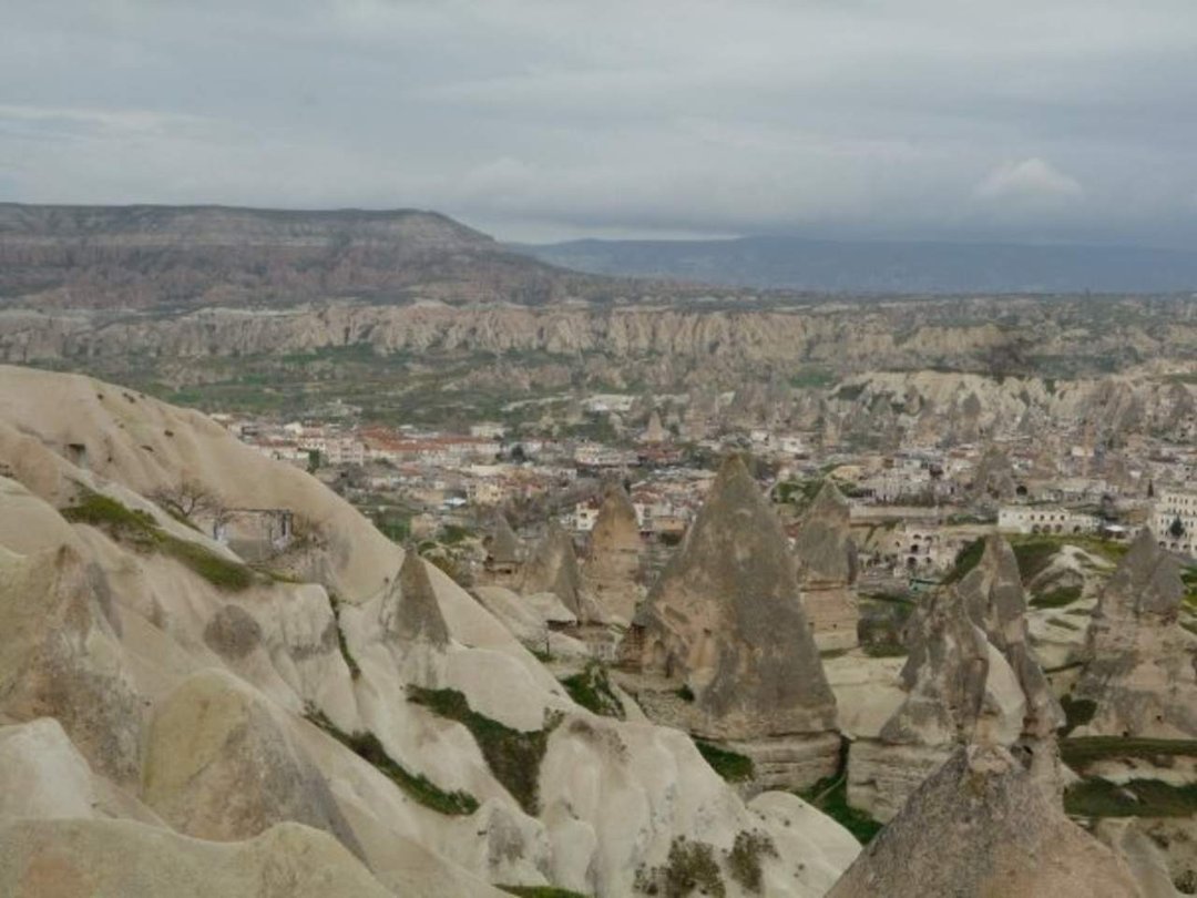 Tracy Cunningham's album, turkey