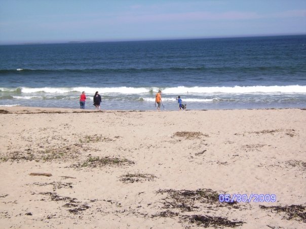 Phyllis Hardridge's album, Maine 2009