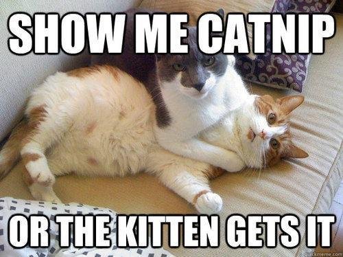 Dave Roughley's album, Timeline Photos