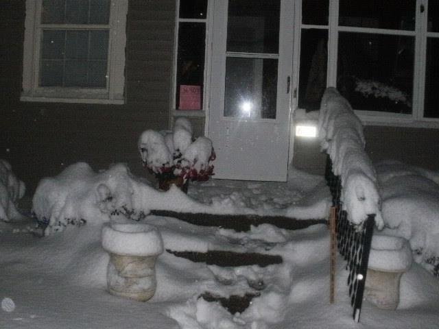 James Dominy's album, Dec. 2012 Snow, Christmas and MORE Snow