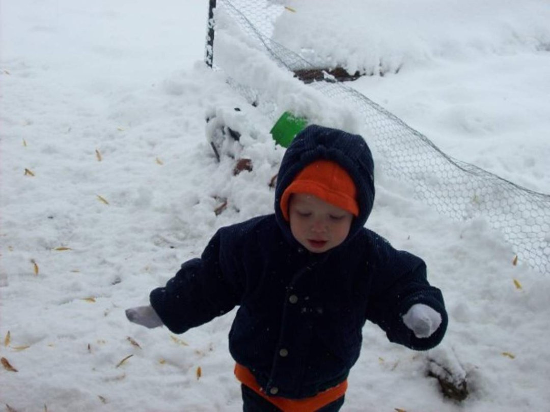 David Alexander's album, Various Pictures of my son Phillip