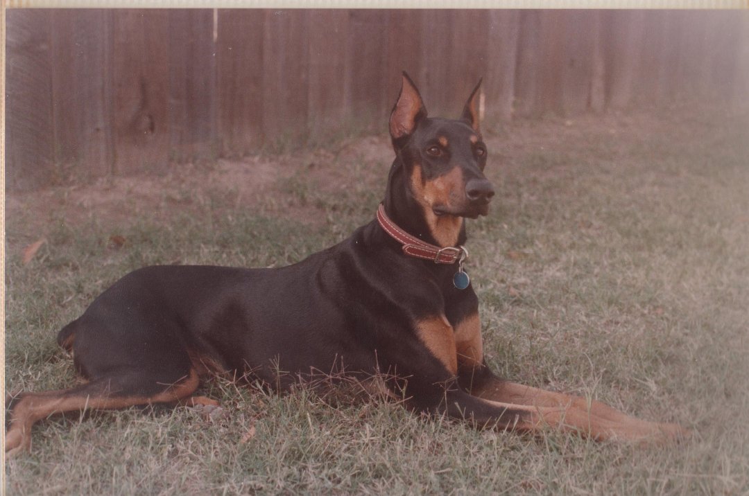 Larry Henderson's album, Profile Pictures