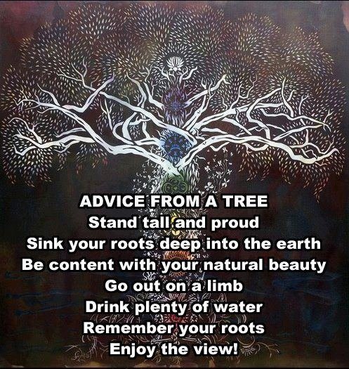 Catherine Harmon's album, Timeline Photos