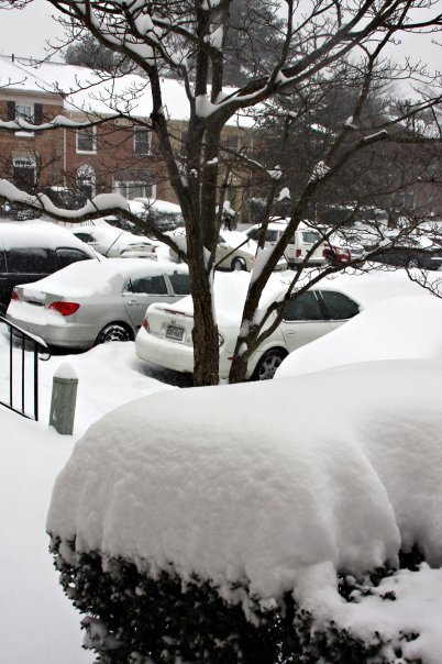 William Ralph's album, Snow in Dec. . .12/19/09
