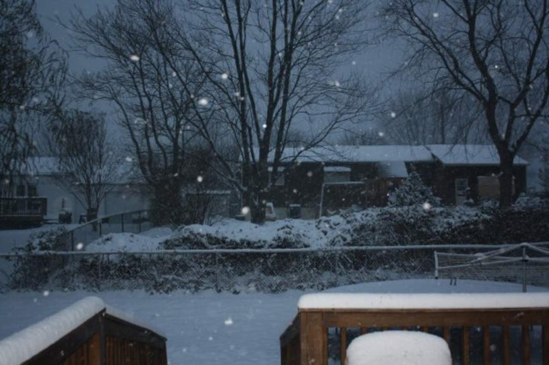 Brandy Krediet's album, The Snow of 2009
