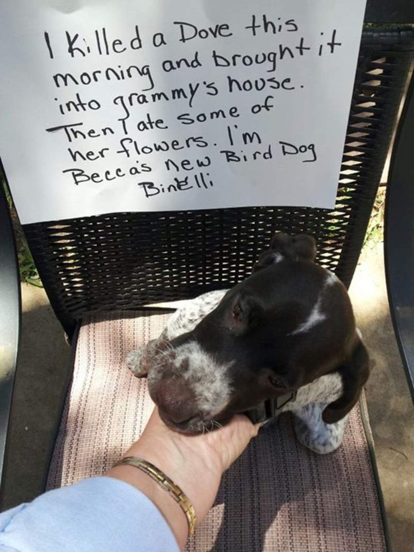 Rhonda Epperly's album, Mobile Uploads