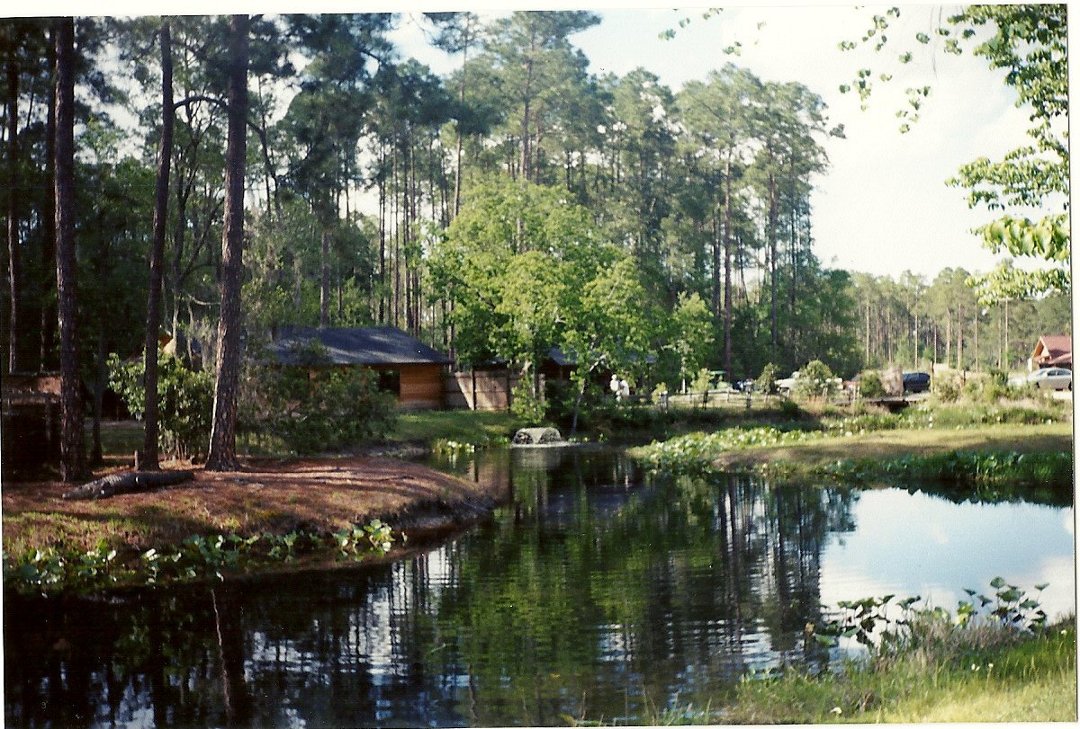 Karla Denney's album, Okefenokee Swamp 2000