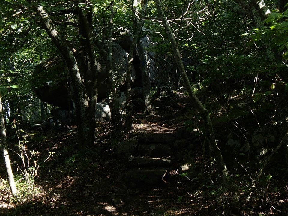 Brian Melton's album, Mt. Pleasant and Pompey Mountain--Henry Lanum Trail