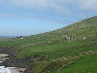 Penny Fleming's album, England and Ireland a hodgepodge