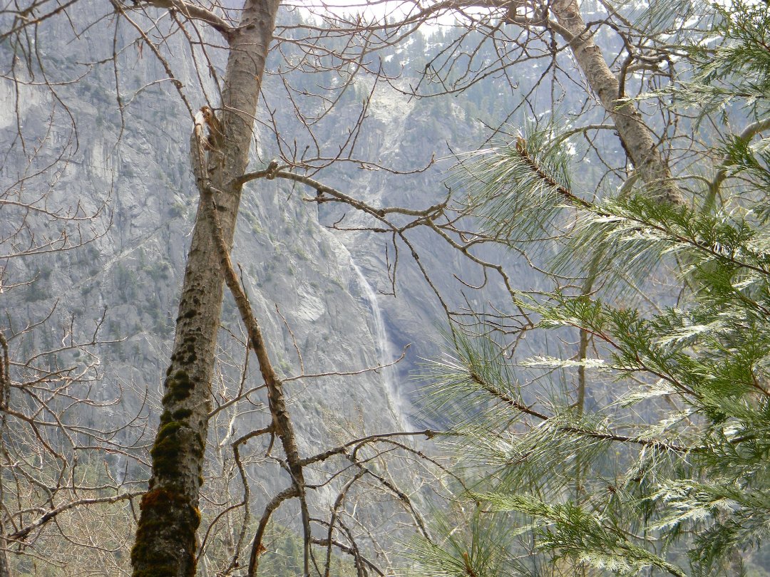Brent Garrett's album, Yosemite April 13 2013