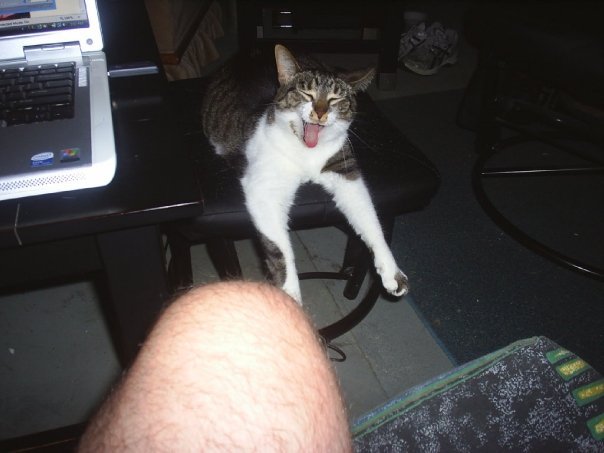 Neil Abbott's album, my pets