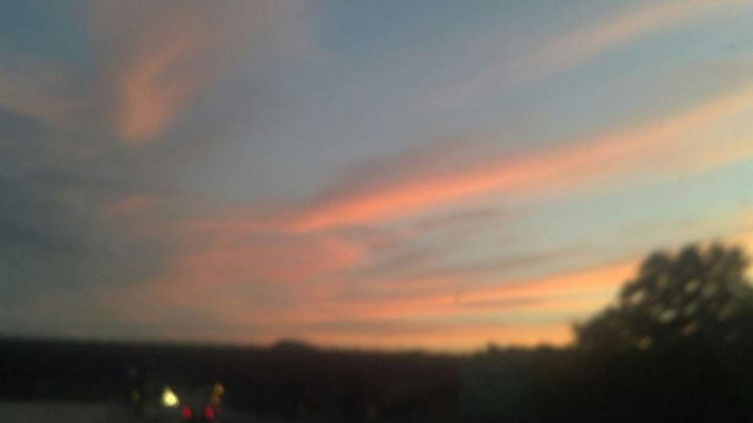 Susan Flanagan's album, Mobile Uploads