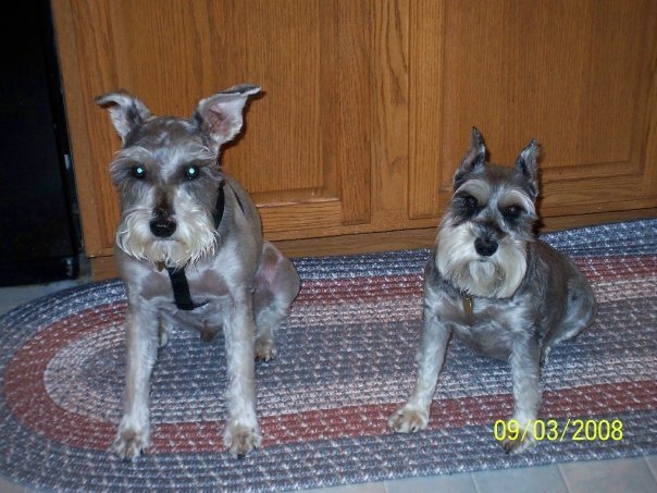 Kathleen Quirk's album, Lacey and Timmy