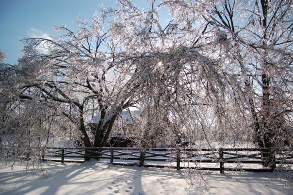 Mike Prather's album, Kentucky Ice Storm 2009