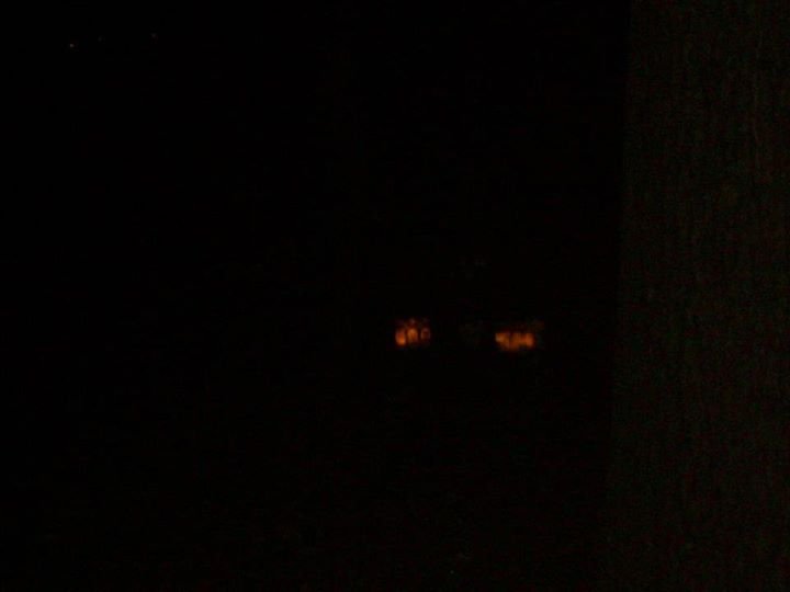 Charlotte Sellers' album, Christmas Day and Night 12/25/2011
