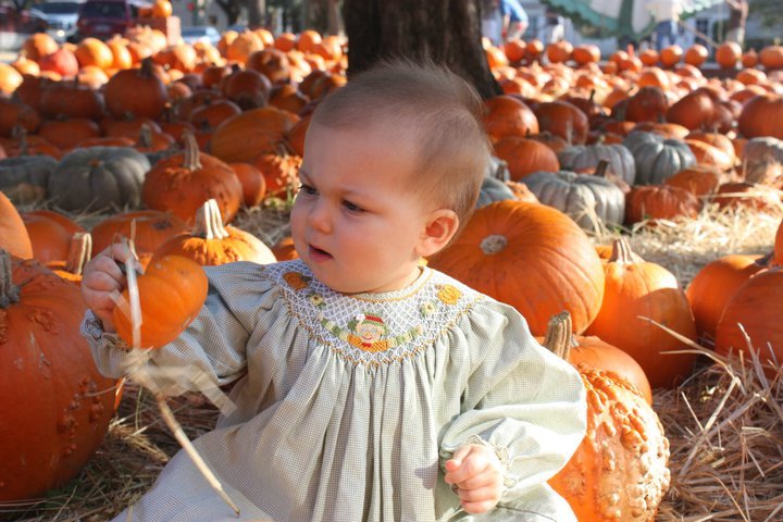 Davis Collins' album, Collins at the Pumpkin Patch