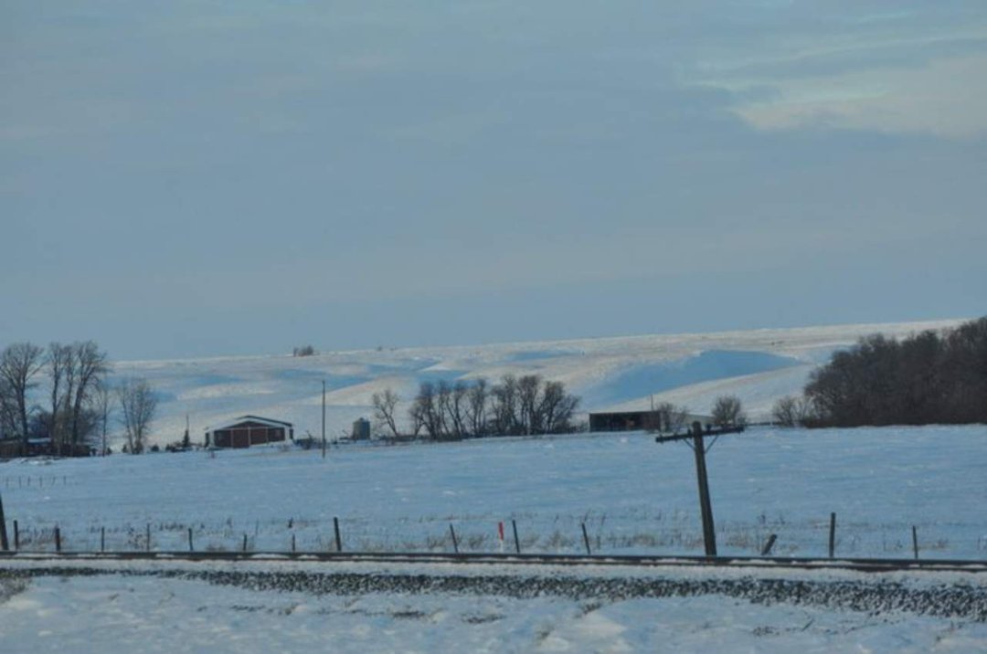 Edward Asbert's album, Cananda trip January , 2011