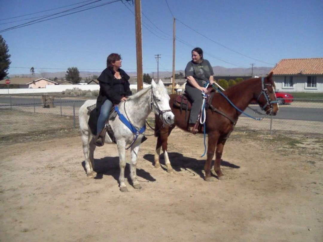 Donna Loera's album, Profile Pictures