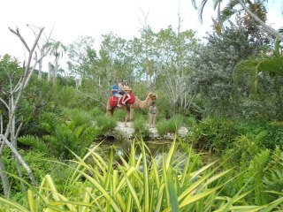 Carol Burke's album, Cover Photos