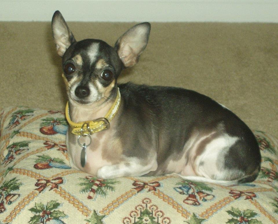 Danny Johnson's album, My pictures