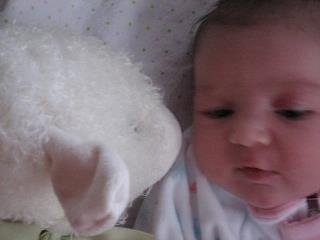 Michael Monaghan's album, Laila Marie